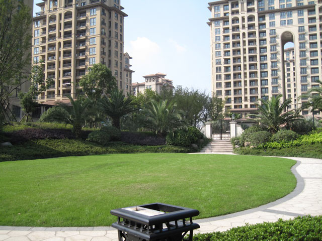 ���������ƺ