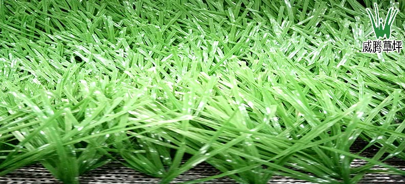 ���������ƺ