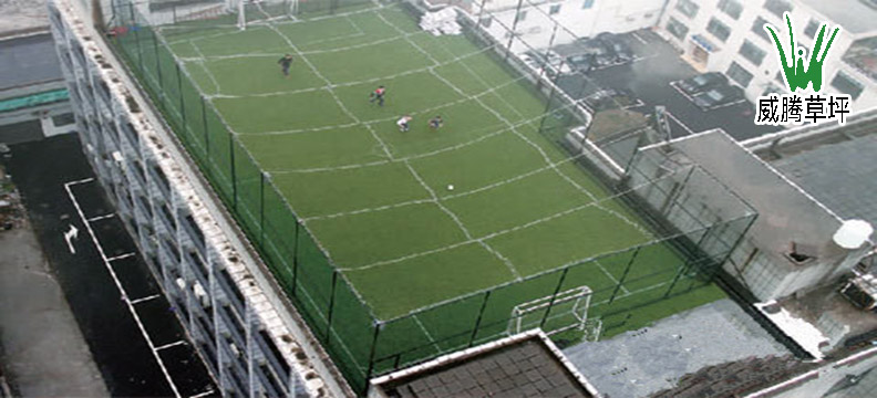 ��������-���������ƺ