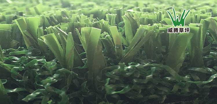 ��������򳡲�ƺ