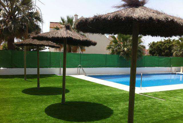 �Ƶ������ƺ,�Ƶ��̺,�������ȵ�̺