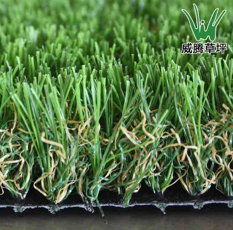 ���������ƺ