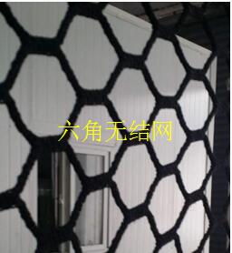 ��ʽ���������޽���