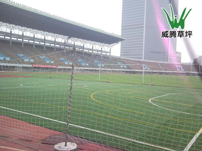 �������������������ƺ����