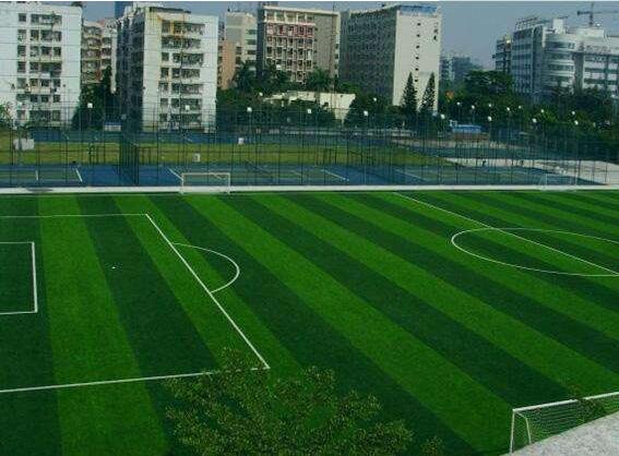 �����ƺͼƬ