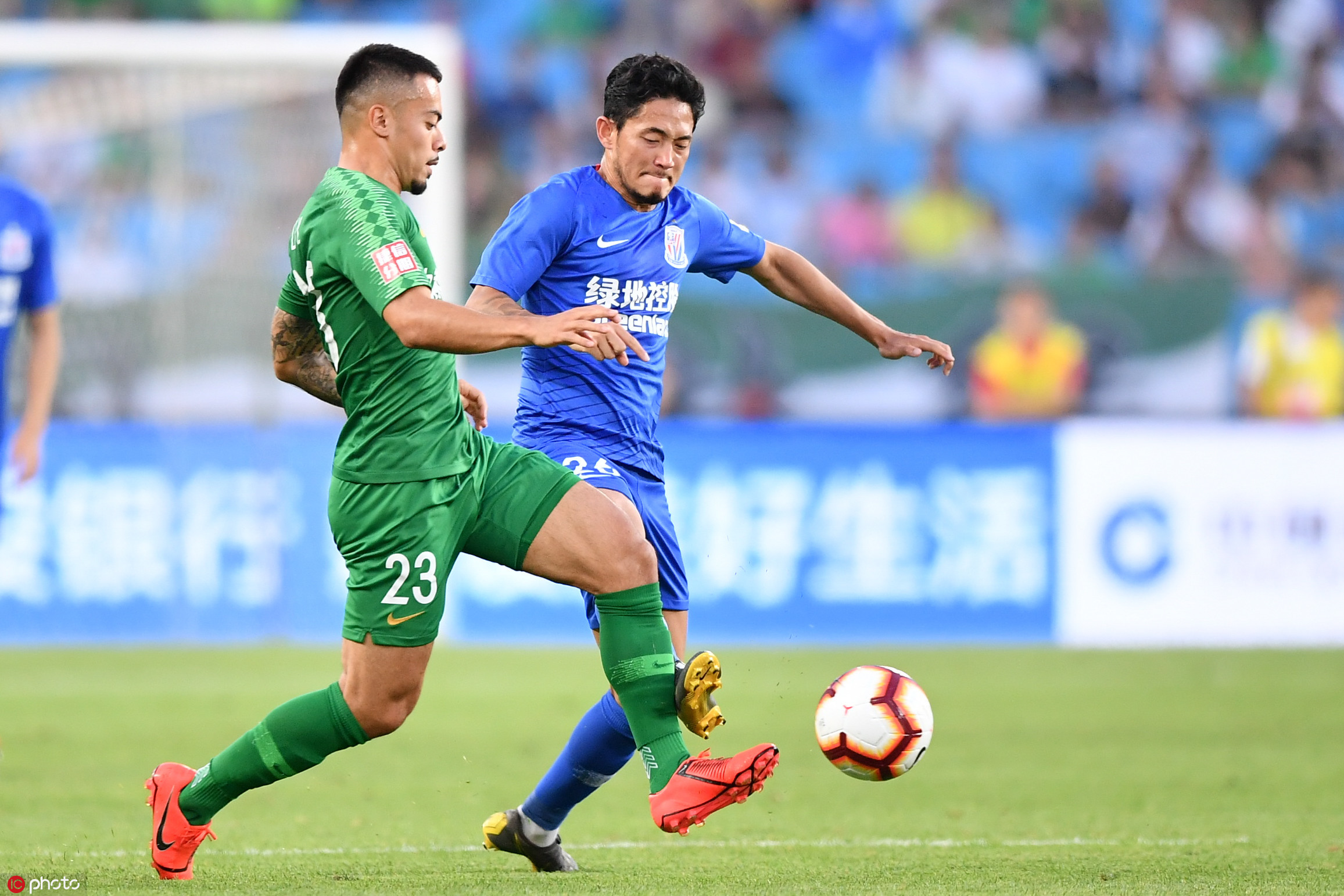 ����������ֲ�