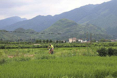 �����ܾ�