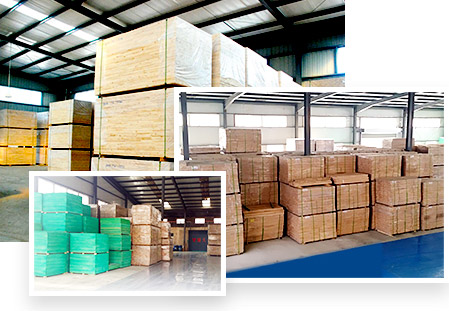 ����+ʩ��һվʽ���񳧼�