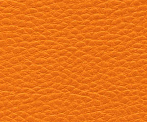 ����-XL���ƣ�