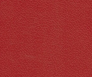 רҵ�͡������ƣ��죩