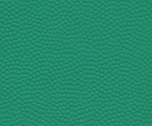 �ռ��͡���Ƥ��