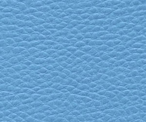 ����-XL������