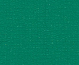 �������д�ɫ(��)