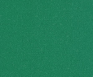 רҵ��-��Ҷ��