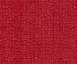 �������д�ɫ(��)