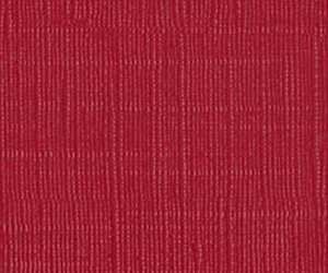 �����˶�-����