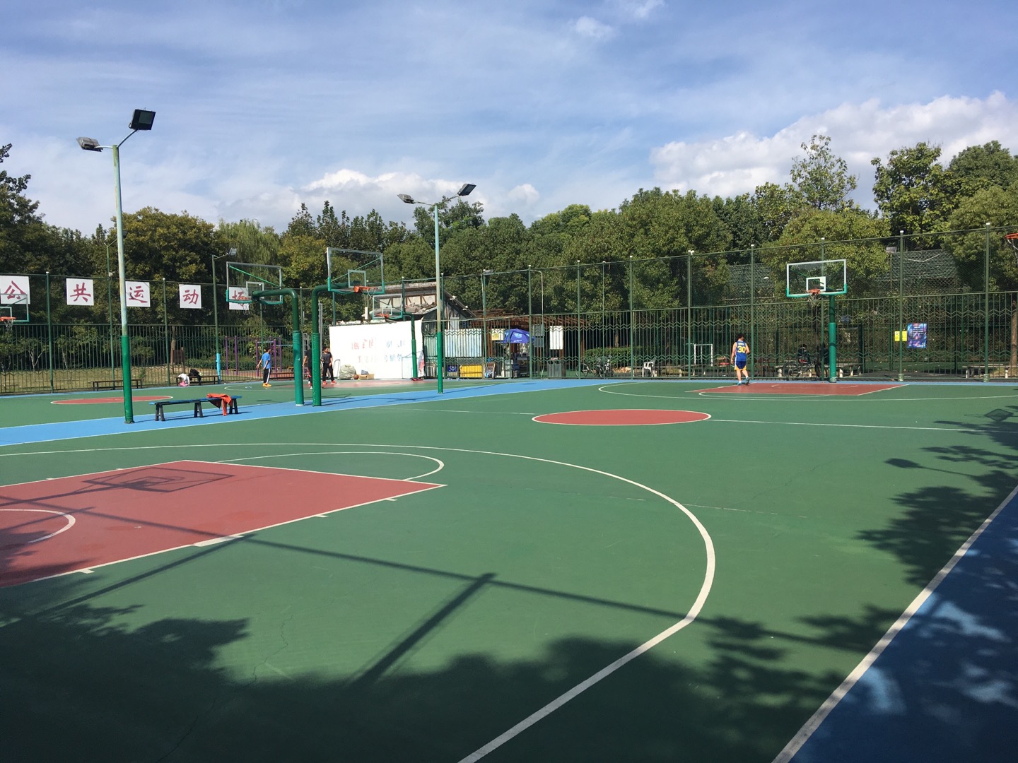 ����ʮ����������