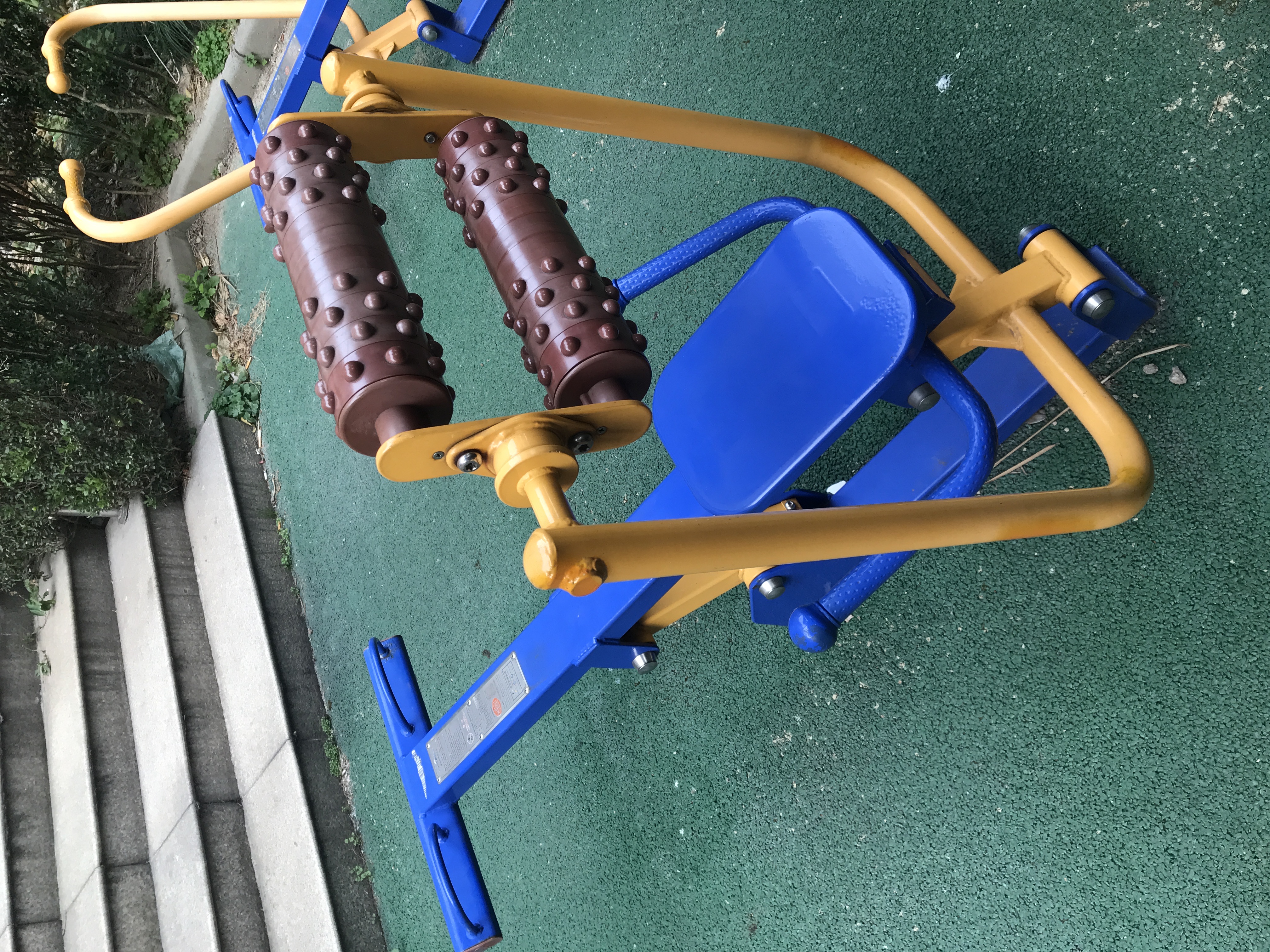 ��������ѵ����