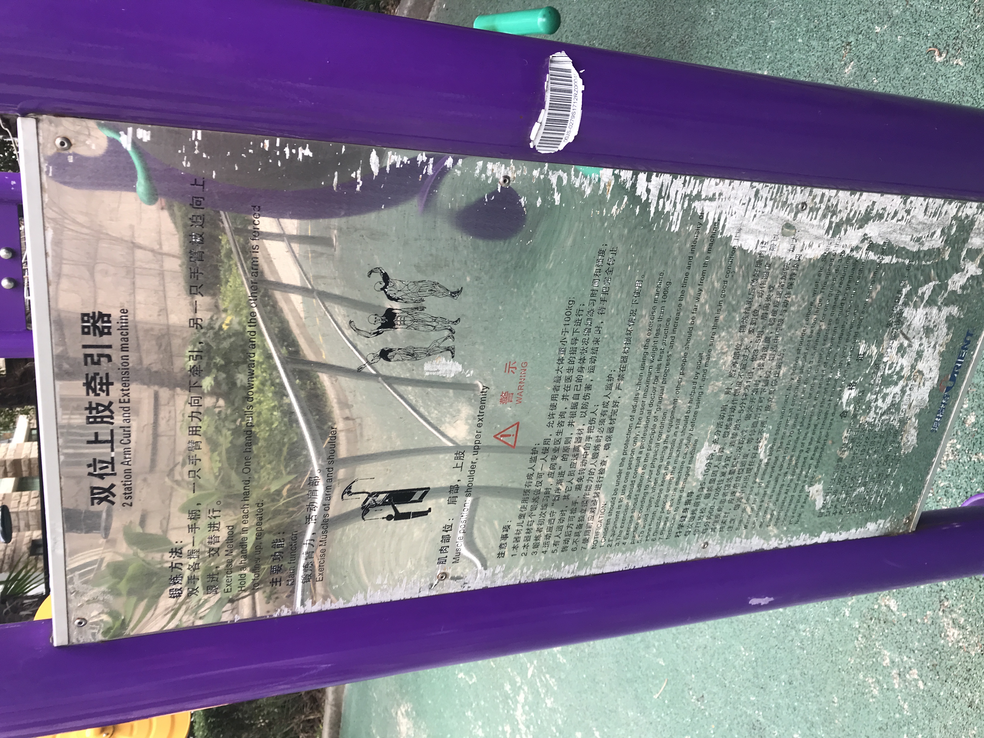 ˫λ��֫ǣ����