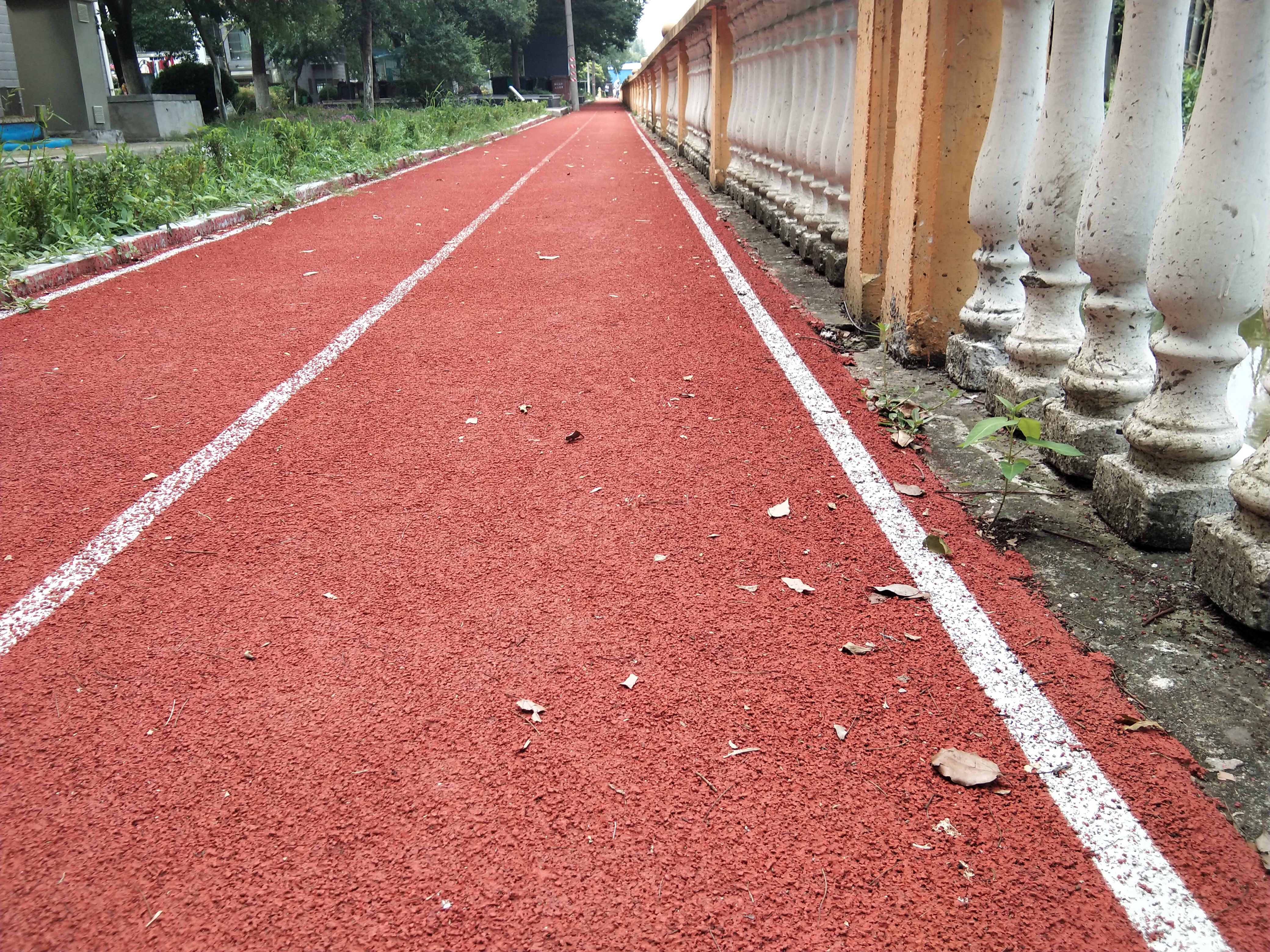 ���ϼ�԰����������