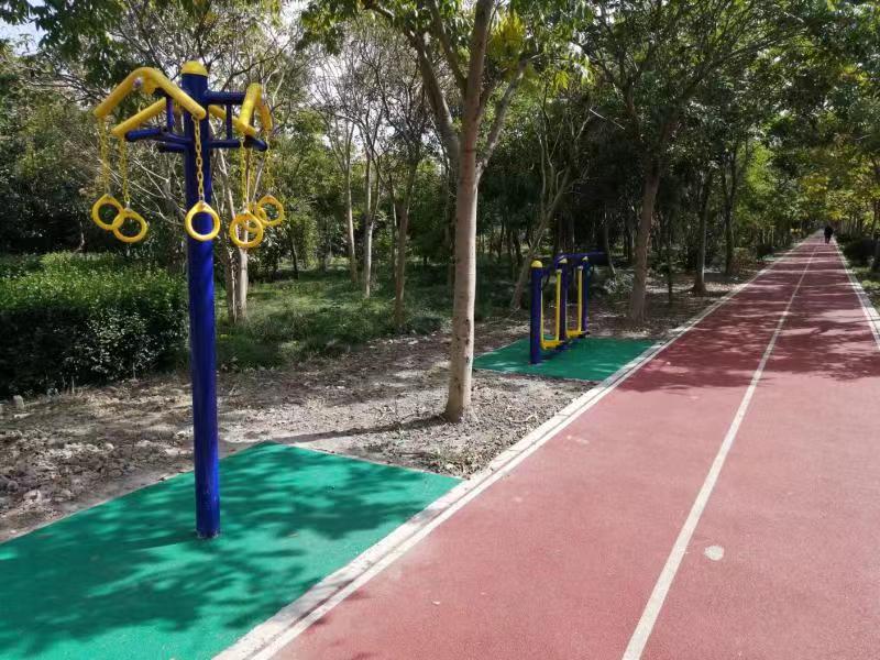 ���������㣨����