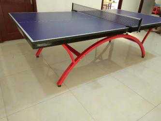 pp/1001ƹ����̨