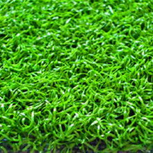 ���� �����ƺ �������ƺ �����ƺ �����ƺ����