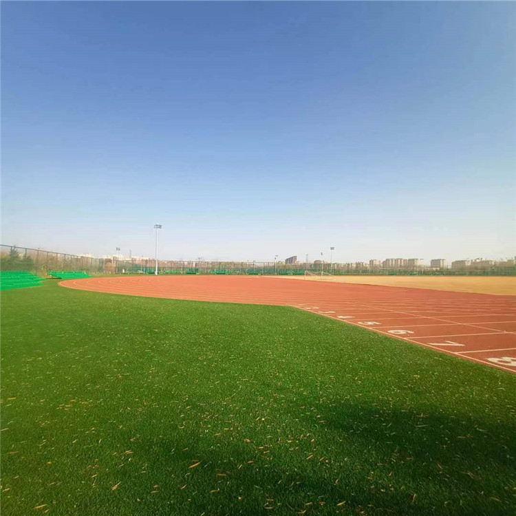 ʤ���������� Ԥ���ܽ��ܵ� �ٳ��ܽ��ܵ� ʩ��