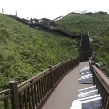 �ǿ�����������·�� ���⽡������  ����·���� ��������  ��ѡ��ݸ����