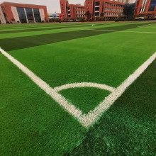 Ѹ������  �����ƺ  �����ƺ����  �����ƺ����  �����ƺ��������