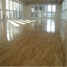 �ӱ�ɭ̤������ʩ���޹�˾